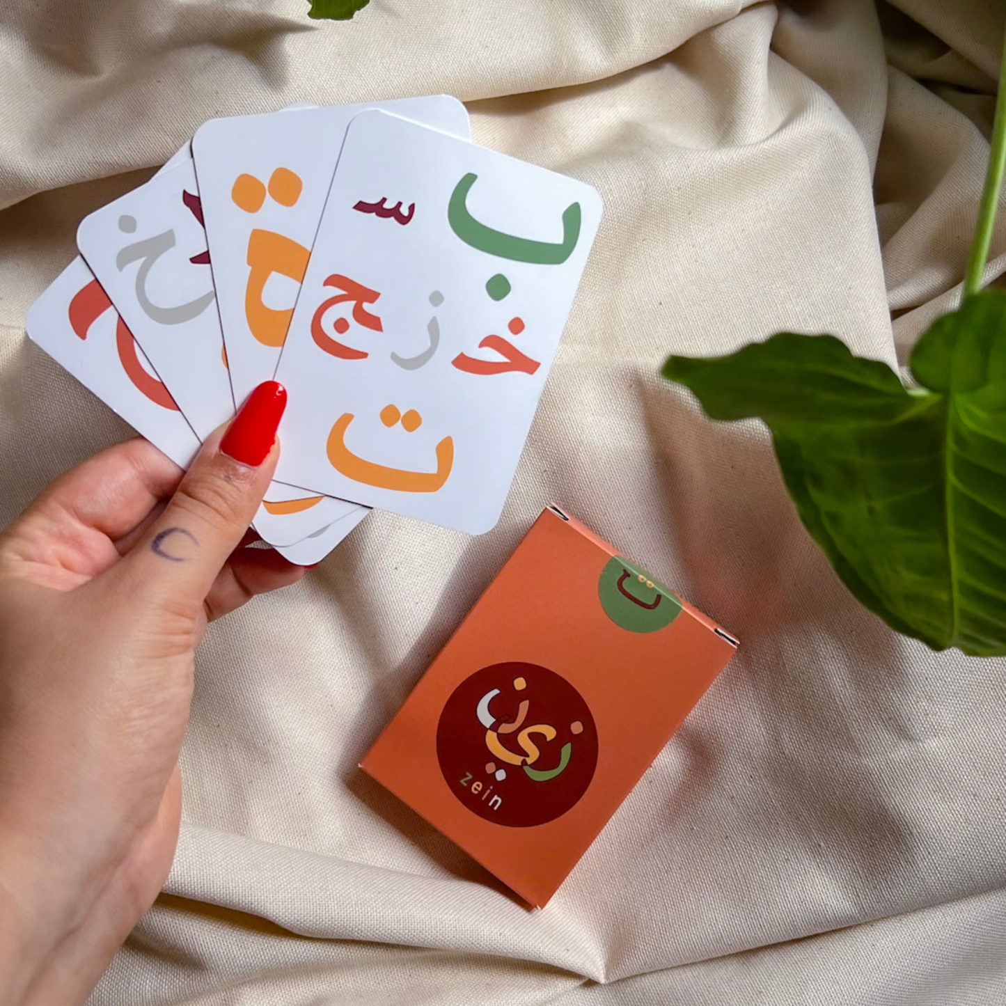 ZEIN - Le jeu d'association des lettres arabes